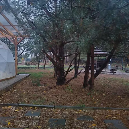 Kopuly Glampingowe Radziejowice