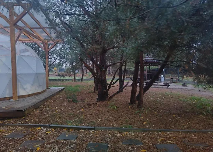 Kopuly Glampingowe Radziejowice